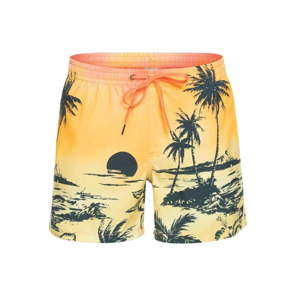 Quiksilver EQYJV03999 Paradise 15 M Jamv Erkek Şort Mayo ürün görseli 1