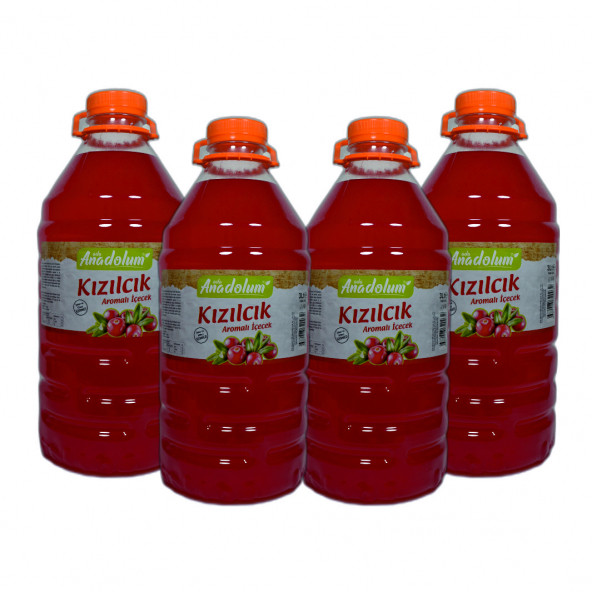 KIZILCIK AROMALI İÇECEK 3 LT 4 LÜ EKONOMİK PAKET ürün görseli 1