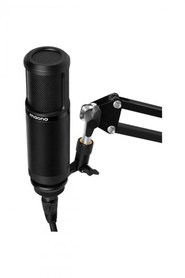 Pm320 Profesyonel Condenser Mikrofon - Resim 2