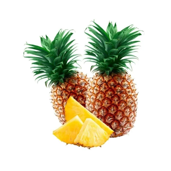 Saksıda Ananas Meyvesi Fidanı (Queen Cinsi) ürün görseli 1