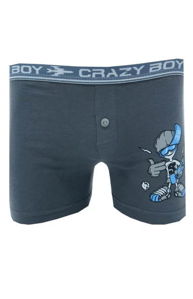 Tutku 0253 Elastan Baskılı Erkek Çocuk Boxer - Resim 5