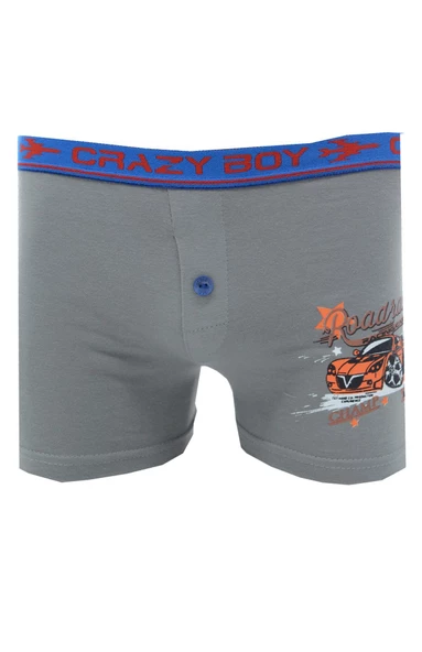 Tutku 0253 Elastan Baskılı Erkek Çocuk Boxer - Resim 3