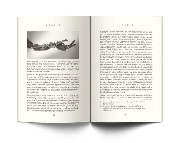 Arayış - Mehmed Gökcan - Resim 3