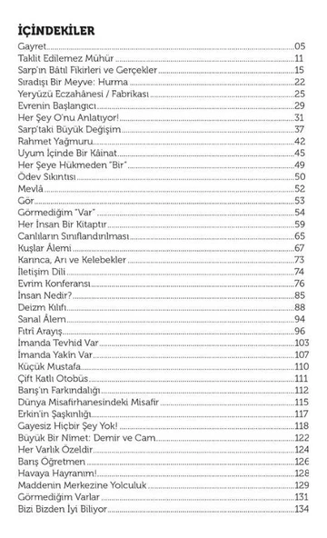 Arayış - Mehmed Gökcan - Resim 4