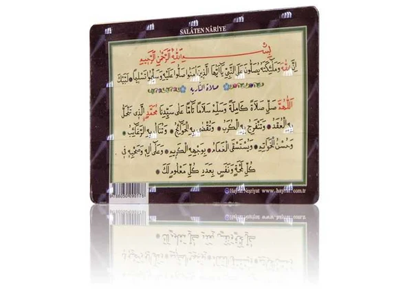 Salaten Nariye (Magnet) ürün görseli 1