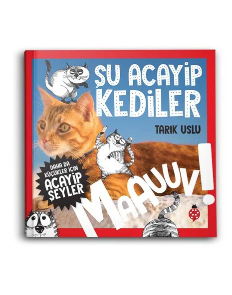 Daha da Küçükler İçin Şu Acayip Kediler ürün görseli 1
