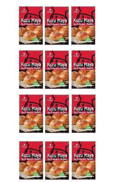 Pakmaya Kuru Maya 100 Gr X 12 Adet ürün görseli 1