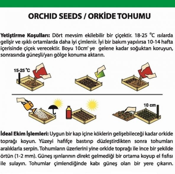DAY 25 Adet 10 FARKLI Renk Cattleya Orkide Tohumu + 10 Adet HEDİYE K.RENK Primula Çiçeği Tohumu ORKIDE0005918 ürün görseli 1