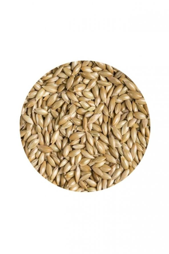 Sade Kanarya Yemi (Aspur) 1 Kg - Resim 2