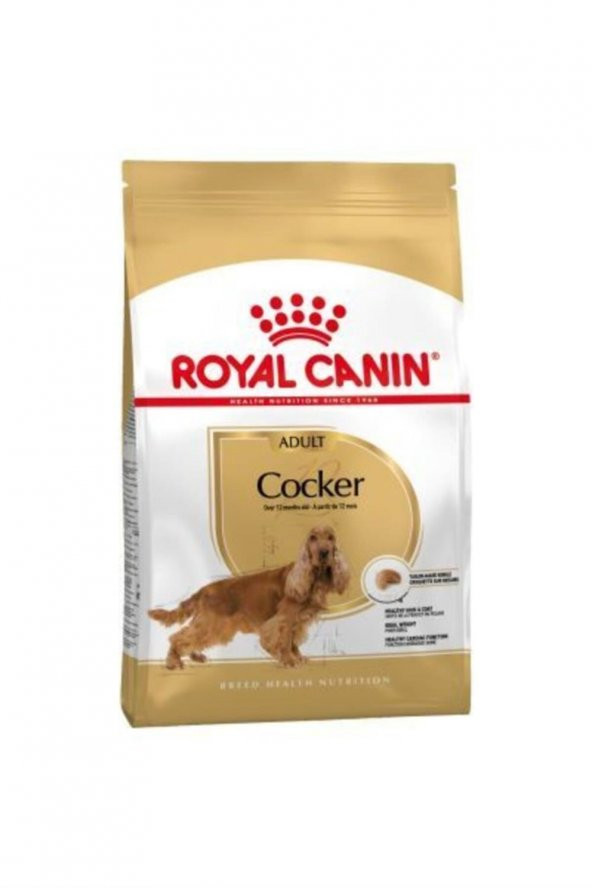 Royal Canin Cocker Irka Özel Yetişkin Köpek Maması 3 kg ürün görseli 1