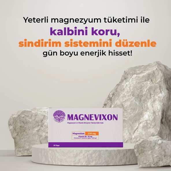 Negans Magnevıxon - Resim 3