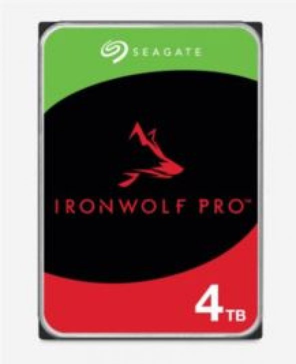 NAS INT 4TB IRONWOLF PRO USB 3.2 Dahili Sabit Disk ürün görseli 1