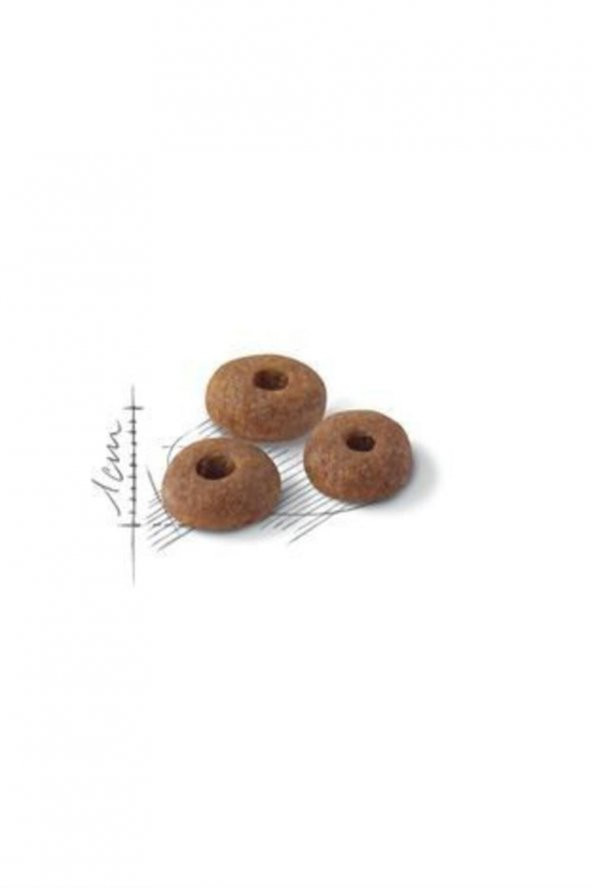 Fit 32 Kedi Kuru Maması 4 kg - Resim 2