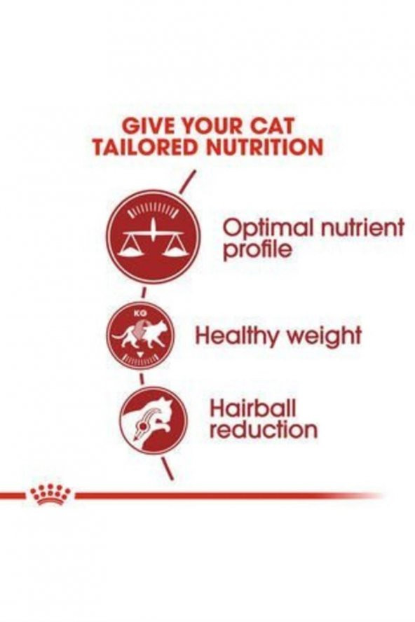 Fit 32 Kedi Kuru Maması 4 kg - Resim 3