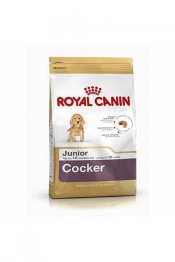 Royal Canin Cocker Junior Yavru Köpek Maması 3 kg ürün görseli 1