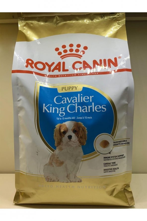 Royal Canin Cavalier King Charles Junior Yavru Köpek Maması 1,5 kg ürün görseli 1