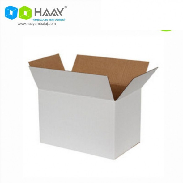 HAAY AMBALAJ 35x20x20cm Tek Oluklu Koli - Beyaz (5 ADET) ürün görseli 1