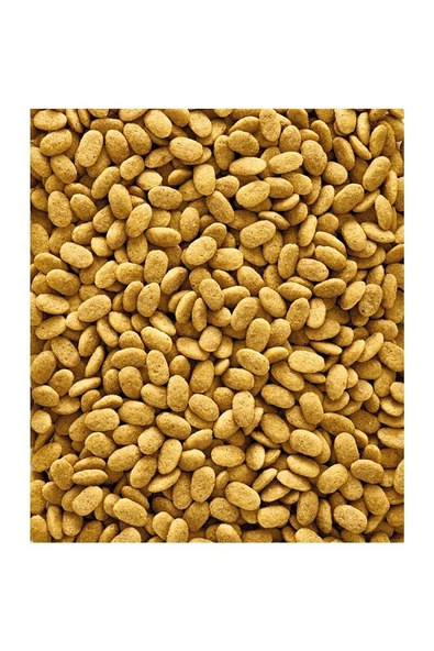 Nutribird P15 Original 10kg - Resim 2