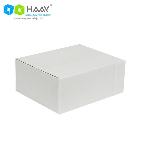 HAAY AMBALAJ 25x20x10cm Tek Oluklu Koli - Beyaz (5 ADET) ürün görseli 1