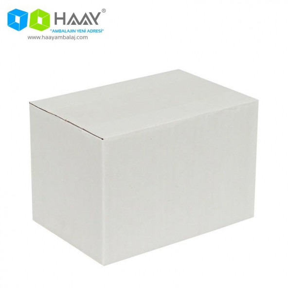 HAAY AMBALAJ 15x10x10cm Tek Oluklu Koli - Beyaz (5 ADET) ürün görseli 1