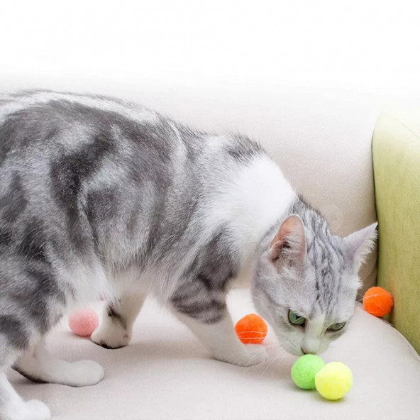 TİNEKE RENKLİ PONPONLAR KEDİ OYUNCAĞI ( 2.5  CM  50  ADET ) ürün görseli 1