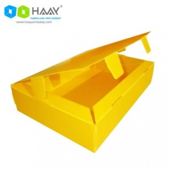 HAAY AMBALAJ 40x29x5cm Plastik Kutu - Mini Boy ürün görseli 1