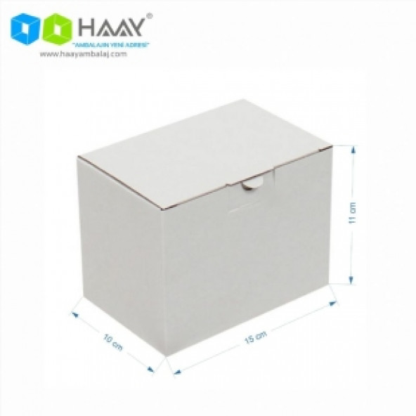 HAAY AMBALAJ 15x10x11cm Kilitli Kutu - Beyaz (6 ADET) ürün görseli 1