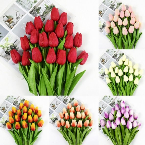 100 Adet 10 FARKLI Mix Tulip Seed Lale Tohumu + 10 Adet Hediye Hollanda Gülü Çiçek Tohumu DTLALE0000860 ürün görseli 1