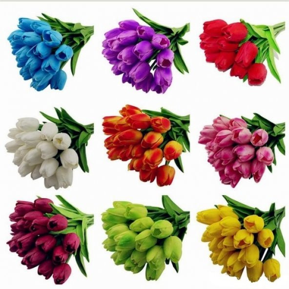 100 Adet 10 FARKLI Mix Tulip Seed Lale Tohumu + 10 Adet Hediye K.Renk Zambak Çiçek Tohumu DTLALE0001372 ürün görseli 1