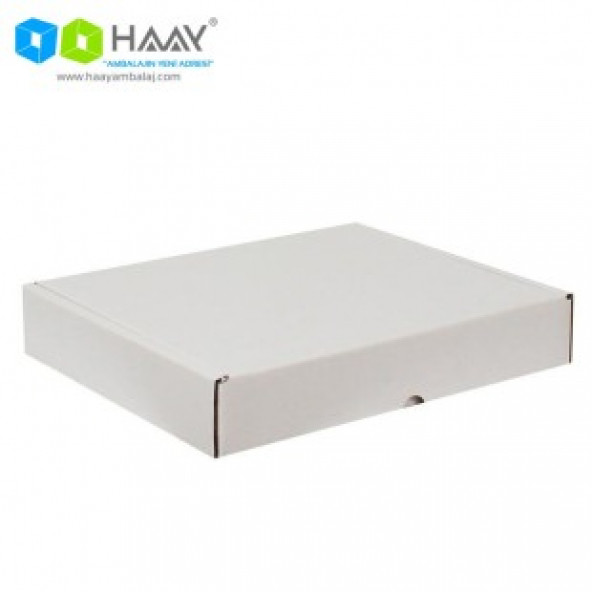 HAAY AMBALAJ 39,5x31x6,5cm Kilitli Kutu - Beyaz ( 3 adet) ürün görseli 1