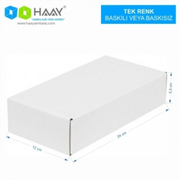 HAAY AMBALAJ 24x12x5,5cm Kilitli Kutu - Beyaz ( 10 ADET) ürün görseli 1