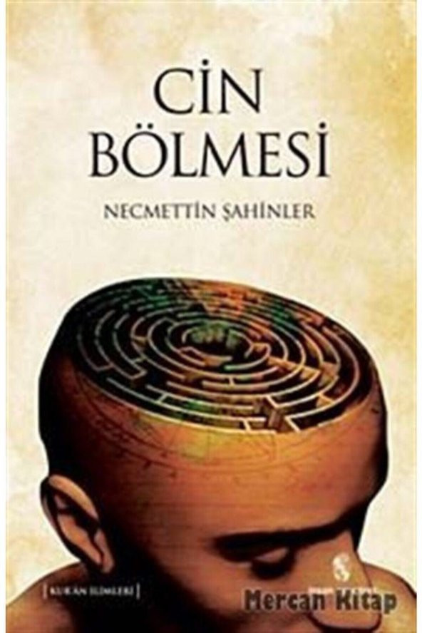 İnsan Yayınları Cin Bölmesi - Necmettin Şahinler ürün görseli 1