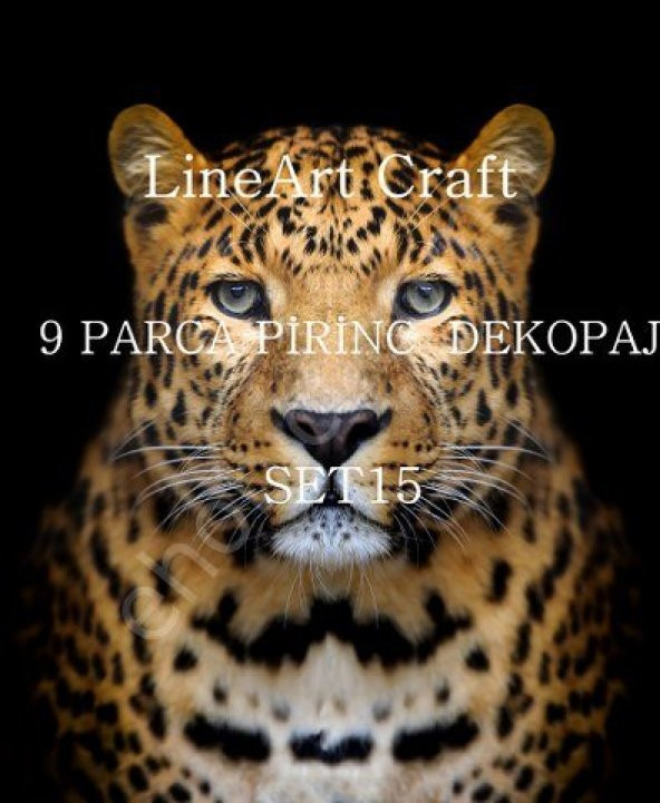 Lineart Pirinç Dekopaj Kağıdı 9 Parça Set-015 ürün görseli 1
