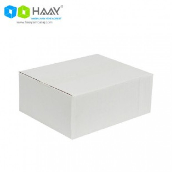 HAAY AMBALAJ 25x20x10cm Tek Oluklu Koli - Beyaz ( 50 ADET) ürün görseli 1