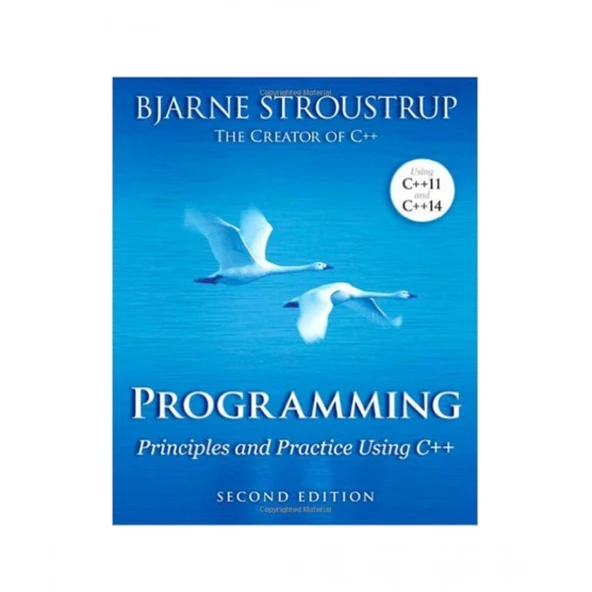 Programming: Principles and Practice Using C++ ürün görseli 1