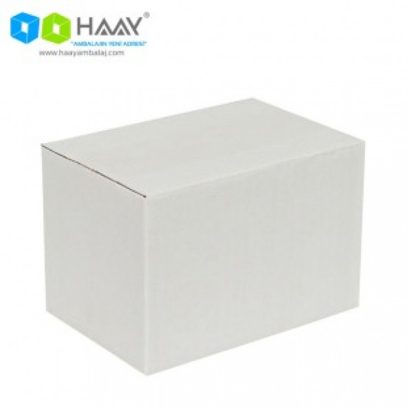HAAY AMBALAJ 15x10x10cm Tek Oluklu Koli - Beyaz ( 100 ADET) ürün görseli 1