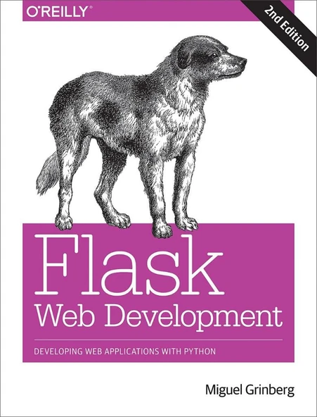Flask Web Development: Developing Web Applications with Python 2nd Edition by Miguel Grinberg ürün görseli 1