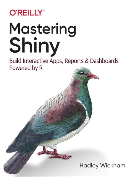 Mastering Shiny: Build Interactive Apps, Reports, and Dashboards Powered by R Hadley Wickham - Resim 2