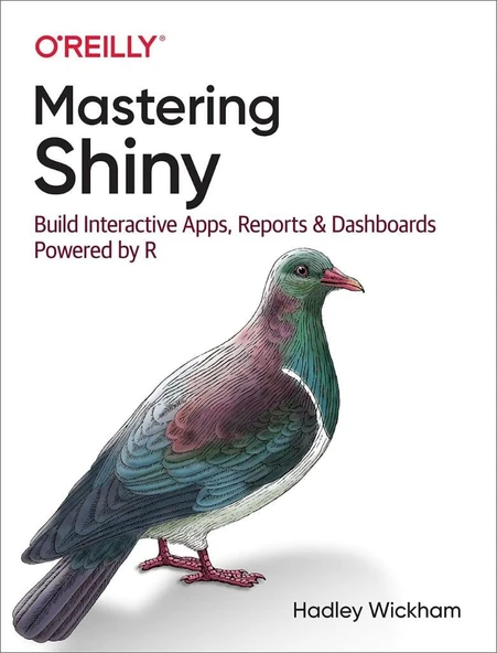Mastering Shiny: Build Interactive Apps, Reports, and Dashboards Powered by R Hadley Wickham ürün görseli 1