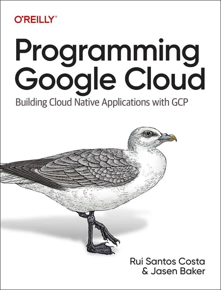 Programming Google Cloud: Building Cloud Native Applications with GCP ürün görseli 1