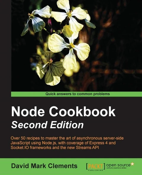 Node Cookbook: Second Edition 2nd New edition Edición ürün görseli 1