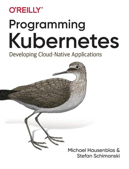 Programming Kubernetes: Developing Cloud-Native Applications 1st Edición ürün görseli 1