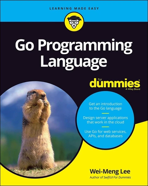Go Programming Language For Dummies (For Dummies (Computer/Tech)) 1st Edition ürün görseli 1