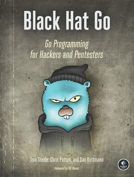 Black Hat Go: Go Programming For Hackers and Pentesters Steele Patten ürün görseli 1