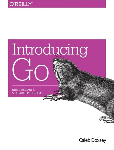 Introducing Go: Build Reliable, Scalable Programs 1st Edition ürün görseli 1
