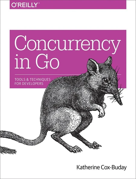 Concurrency in Go: Tools and Techniques for Developers 1st Edition ürün görseli 1