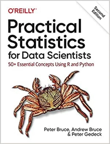 Practical Statistics for Data Scientists: 50+ Essential Concepts Using R and Python 2nd Edition Bruce ürün görseli 1