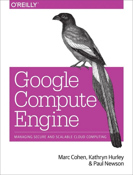Google Compute Engine: Managing Secure and Scalable Cloud Computing Marc Cohen ürün görseli 1