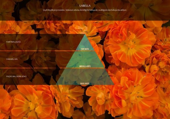 Rulopak Labella Koku Kartuşu 100 ml (M7) - Resim 2