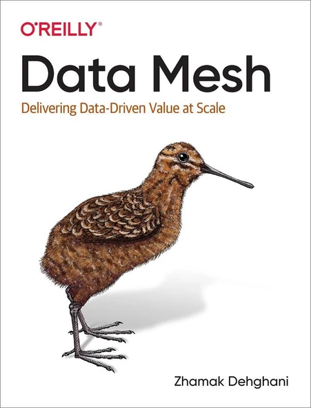 Data Mesh: Delivering Data-Driven Value at Scale Zhamak Dehghani ürün görseli 1